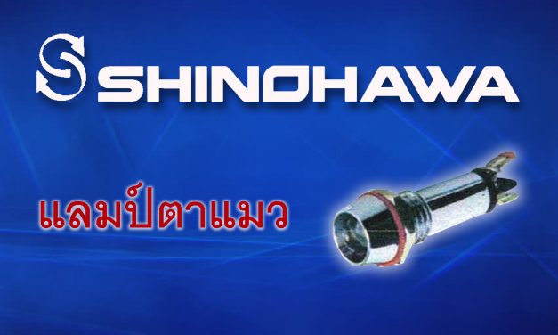 SHINOHAWA: แลมป์ตาแมว LED