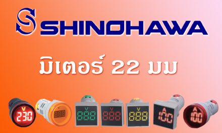 SHINOHAWA: มิเตอร์ 22 มม.