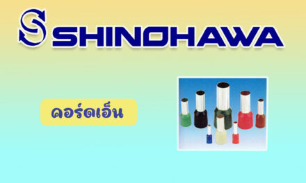 SHINOHAWA : คอร์ดเอ็น